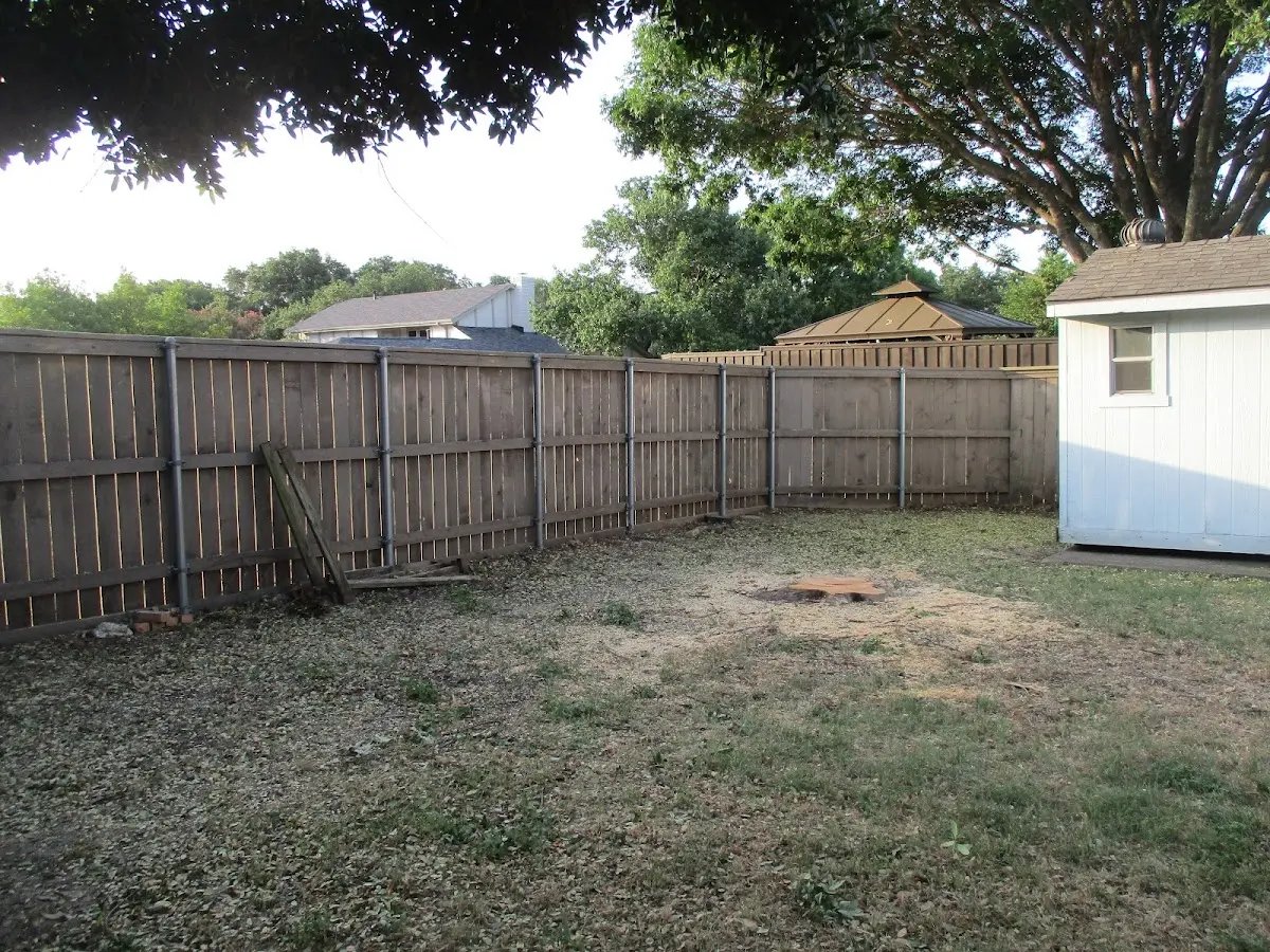 Cleared yard after professional tree removal in Sabael